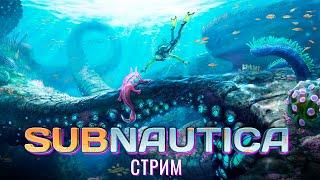 СТРИМ: Subnautica #Subnautica #сабнафтика #прохождение #10часов