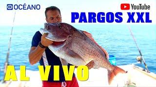 Pargos XXL, Documental sobre la pesca del pargo en Huelva, que no te dejará indiferente.