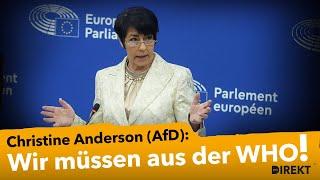 Anderson (AfD): "Wir müssen aus der WHO aussteigen!"