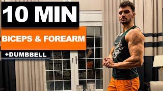 10 Min Dumbbell Bicep & Forearm Workout | Get HUGE BICEPS at home! | velikaans