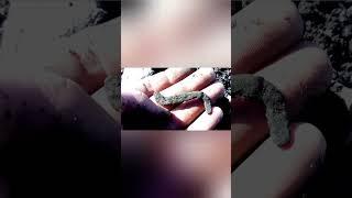 ЗАЛІЗНА ЗНАХІДКА1 #metaldetecting #histori