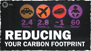 The Best Ways to Reduce Your Carbon Footprint | Hot Mess 