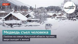 Медведь съел человека. Посёлки на севере Иркутской области пустеют, звери выходят к жилью