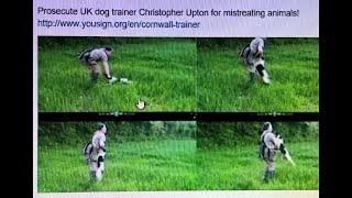 Update with Evidence on Christopher Upton of Corleone Gundogs animal & Human abuse, and Point of Law