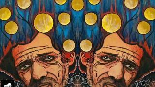 Tryptamine Hallucinogens & Consciousness (Terence McKenna) [FULL]