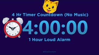 4 Hour Timer Countdown (No Music) with 1 Hour Loud Alarm