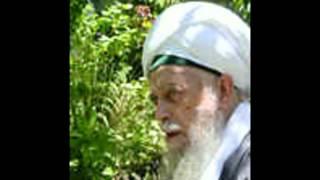 Sura Ya-Sin (Shaykh Muhammad Nazim)