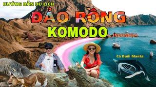 DU LỊCH ĐẢO RỒNG KOMODO - INDONESIA. Biển Hồng ( Pink Sea ) Đảo Dơi, Cá Đuối ManTa , komodo island