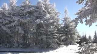 Roan Mountain Winter Wonderland Part 1 - Tony Lee Glenn