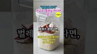 주부 필수 꿀팁! '쌀벌레 완벽 퇴치법'! 건고추 하나면 끝! #건강정보 #건강관리 #건강상식