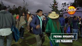 PIERNA ROSADITA - LOS PARAMOS 2021 / PRIMICIA OCTUBRE / GADIEL PRODUCCIONES 959451227 HUANCABAMBA