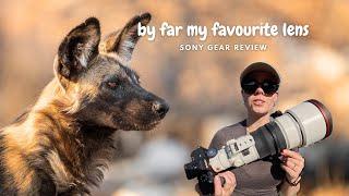 Sony Camera Gear Review from a Wildlife Photographer