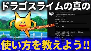 【ドラクエウォーク】ドラゴスライムの本当の使い方をお教えしましょう（受け売り）【なかまモンスター】