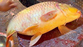 Amazing Big Carp Fish Cutting Skills Live In Fish Market | Fish Cutting Skills