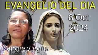 Evangelio Del Dia Hoy - Martes 8 Octubre 2024- Sangre y Agua