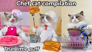 Chef Cat Compilation | That Little Puff