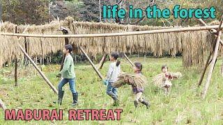 Self-Sufficiency, Forest Life, Rural Japan, Rice harvesting, Harvesting konjac yam, Picking mushroom