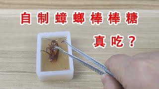 Homemade cockroach candy, actually eat cockroaches? 【Correct Idea Lab】