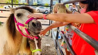 Westchase District Farmers Market Farmtastic Highlights