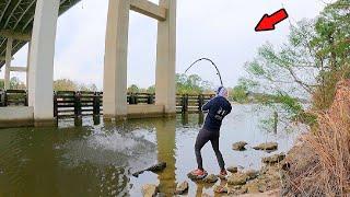 Catching Massive Fish from a Bridge for 2 Hours!