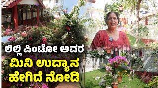 ಮಂಗಳೂರು ನಗರದಲ್ಲಿ ಹಸಿರು ಸ್ವರ್ಗ ನಿರ್ಮಿಸಿರುವ ಲಿಲ್ಲಿ ಪಿಂಟೋ | lilly pinto Gardening| Udayavani