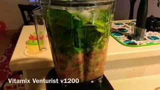 Vitamix Venturist - Smoothie 2