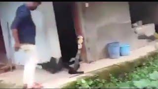 KING COBRA 'Standing up' during Rescue ; Spine chilling | Shot on iphone