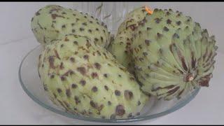 ATIS - SUGAR APPLE OR CUSTARD APPLE  FRUITS