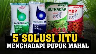 WAJIB TAU.! 5 SOLUSI JITU MENGHADAPI PUPUK MAHAL, Tanaman Subur Berbuah Lebat Hemat Biaya - Ultradap