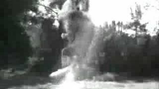 Lassie Parody ( Lassie Parodia )