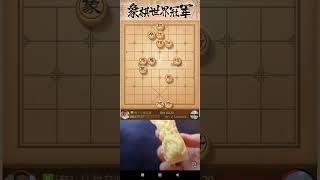 250102許銀川象棋直播