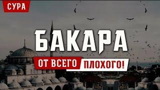 СУРА АЛЬ БАКАРА ЗАЩИТА ВАС И ВАШЕГО ДОМА ОТ ВСЕГО ПЛОХОГО, СЛУШАЙТЕ КАЖДЫЙ ДЕНЬ.