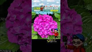수국들의 반란 #해운대 송림공원 #시니어유튜브