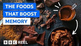 The foods that can improve brain function – BBC REEL