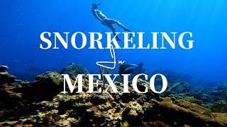 Snorkeling In Cancun , Isla Mujeres, XelHa & Playa del Carmen, Mexico