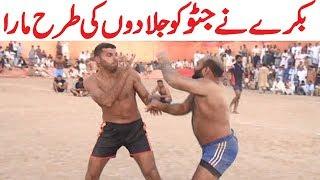 Javed Iqbal Jatto Kabaddi || Achu Bakra 302 Beat By Javed Jatto || All Open Pakistan Kabaddi