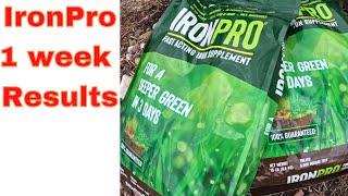 IronPro Fertilizer from Menards - 1 Week Spring Results