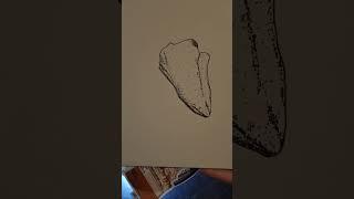 Minerals, Rocks, and Fossil Talks is live! Scientific Art Demo!