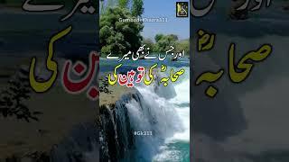 Jis ny Sahaba ki Toheen ki #gumbadekhazra313 #gk313 #islamicshortvideos #islamicshorts