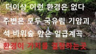 (매물2056)횡성부동산 청정계곡과 주변은 모두 국유림 최고의 자연환경 신선이 머물어도 손색없는곳  기암절벽 바위숲  토지330평 건평74m  별장 던원주택 요양강추