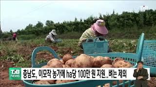 충남도, 이모작 농가에 ha당 100만 원 지원..벼는 제외 ｜ TJB 대전·세종·충남뉴스