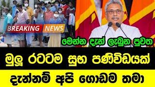 AIRPORT NEWS | here is special news today | Hiru live | Good news