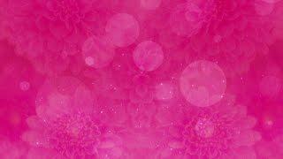 Pink Floral Bokeh - HD Video Background Loop