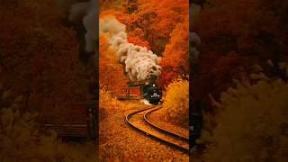 Places On Earth That Don't Feel Real  #travel #explore #adventure #nature top 3 beautiful place
