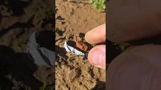 Metal Detecting An 1860s Civil War Field Hospital For Lost Artifacts! #metaldetecting