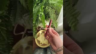 bringing a bit of whimsy to your life!!!! (pt. 3!)#whimsical #lifestyle #inspo #selfcare #aesthetic