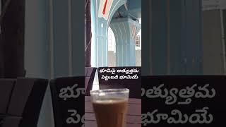 tea at Tirupati with telugu real estate quotes #shorts #teluguquotes #telugurealestate#viral