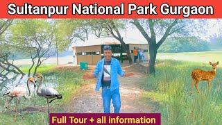 Sultanpur National Park Gurgaon | Sultanpur Bird Sanctuary - Open or Closed , Best Time To Visit