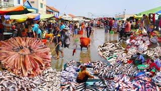 Tons of fish at fish distribution site @ Kilo No. 9 fish market, Cambodian fish market