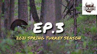 2021 Ohio Spring Turkey Season - Big Gobbler at 35 Yards